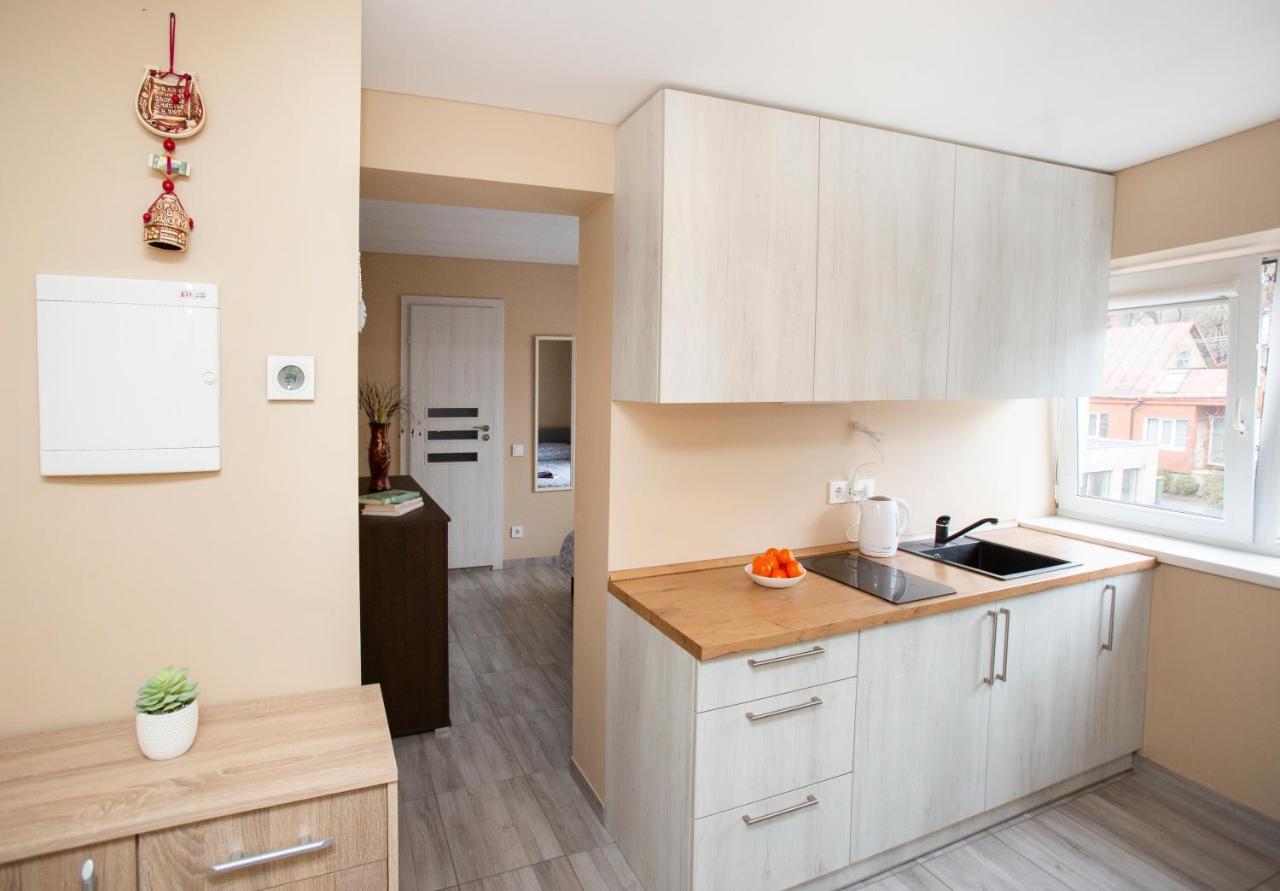 Chill&Go Apartment Каунас Экстерьер фото